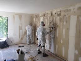 Best Mold Odor Removal Services  in Keego Harbor, MI